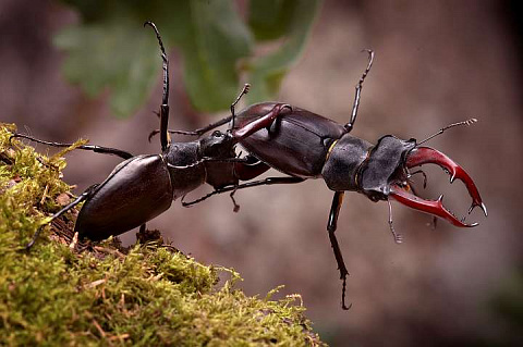 <Без названия>